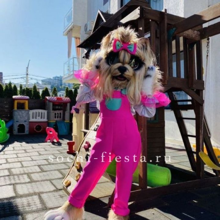 Аниматор Гламурная Собака в Твери