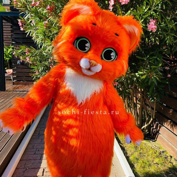 Аниматор Котик в Твери