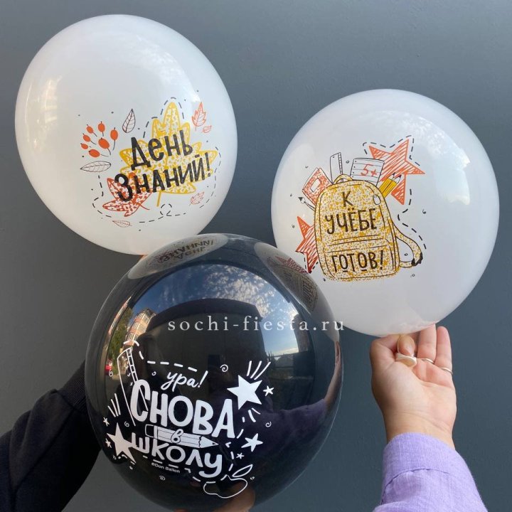 Воздушный шар к 1 сентября в Твери