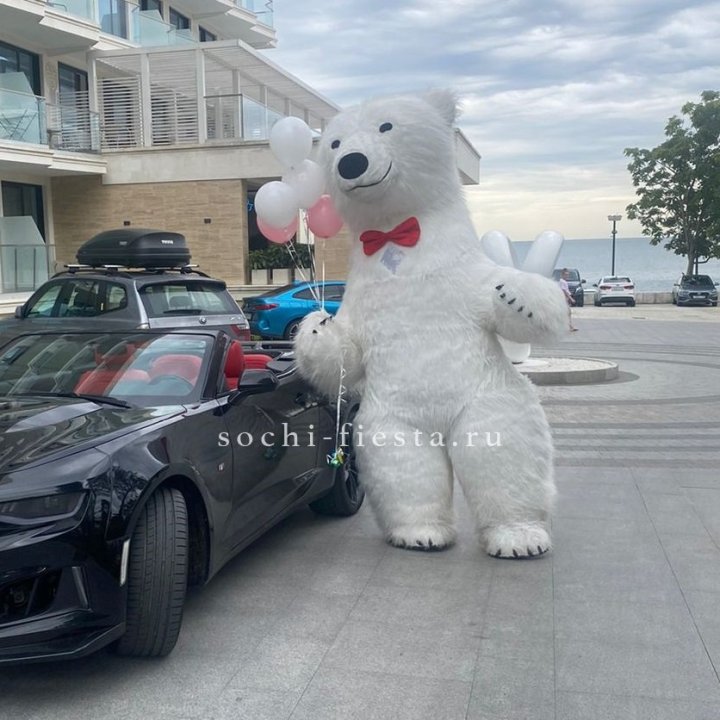 Аниматор Белый Медведь в Твери