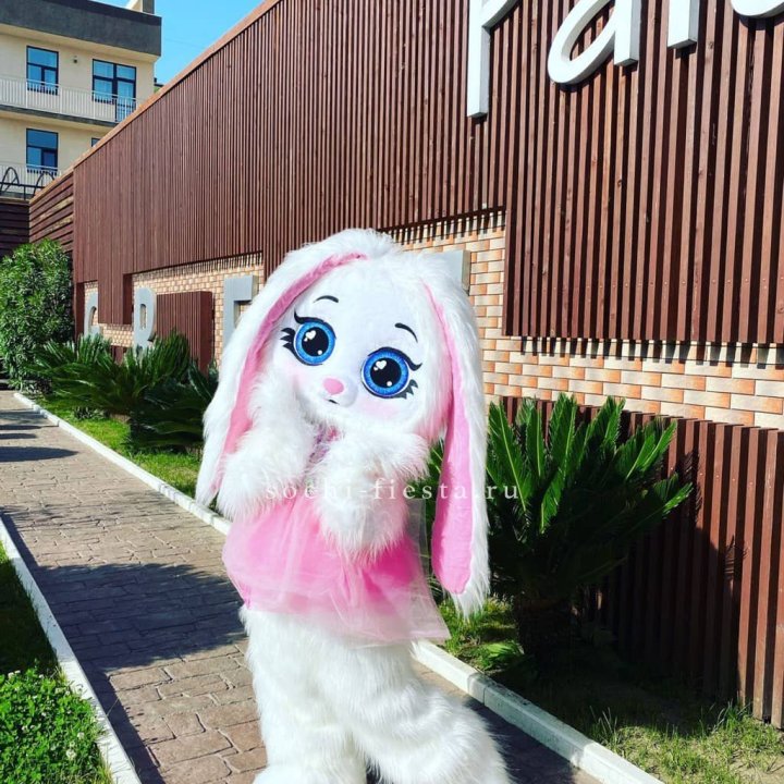 Аниматор Зайка в Твери