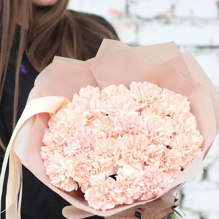 Диантусы №2 в Твери