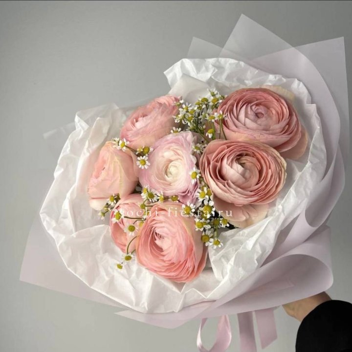 Ранункулюсы с ромашками в Твери