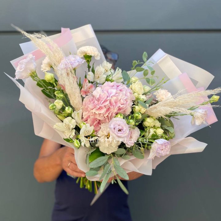 Гортензия "Пинк флоид" в Твери