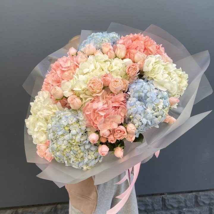 Дуо гортензии и бомбастик в Твери