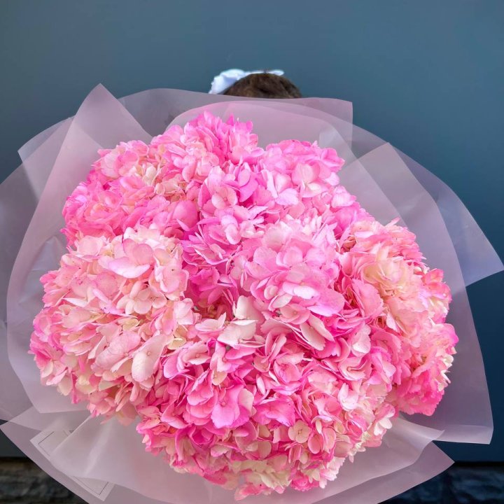 9 ярко розовых гортензий в Твери