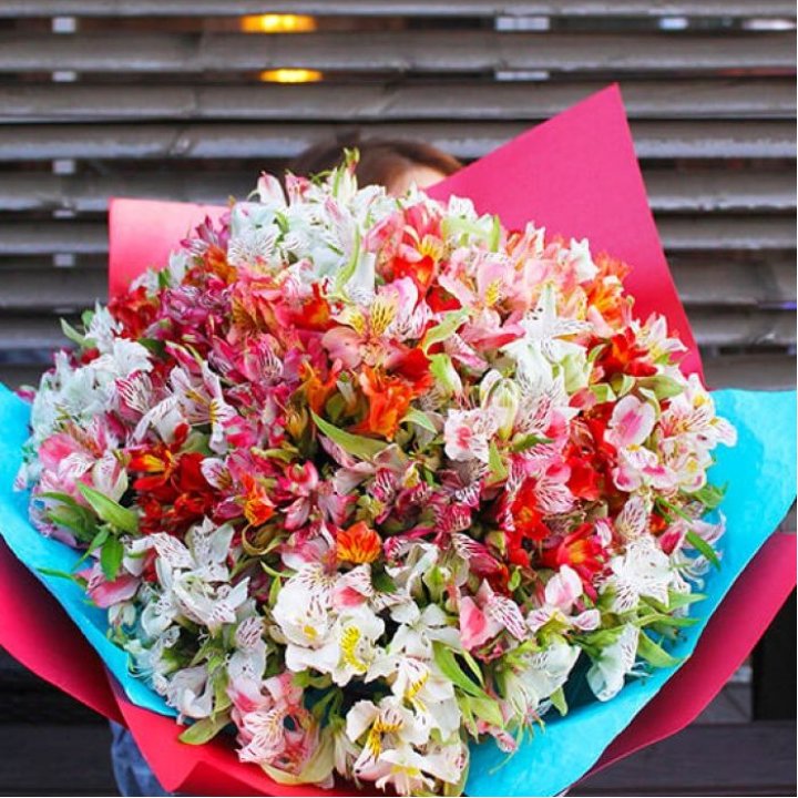 101 альстромерия в Твери