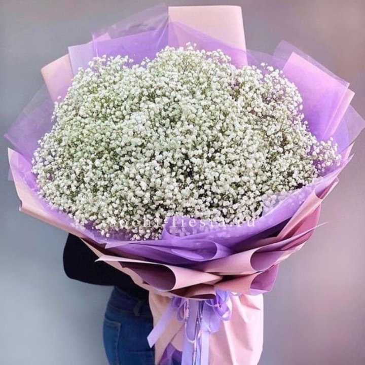 Облако белых гипсофил в Твери