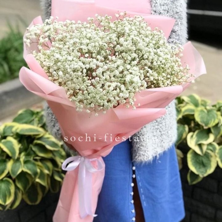 Белоснежные гипсофилы в Твери