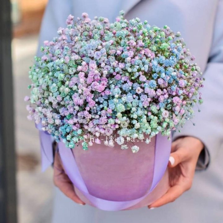 Гипсофилы в шляпной коробке "Кандилайт" в Твери