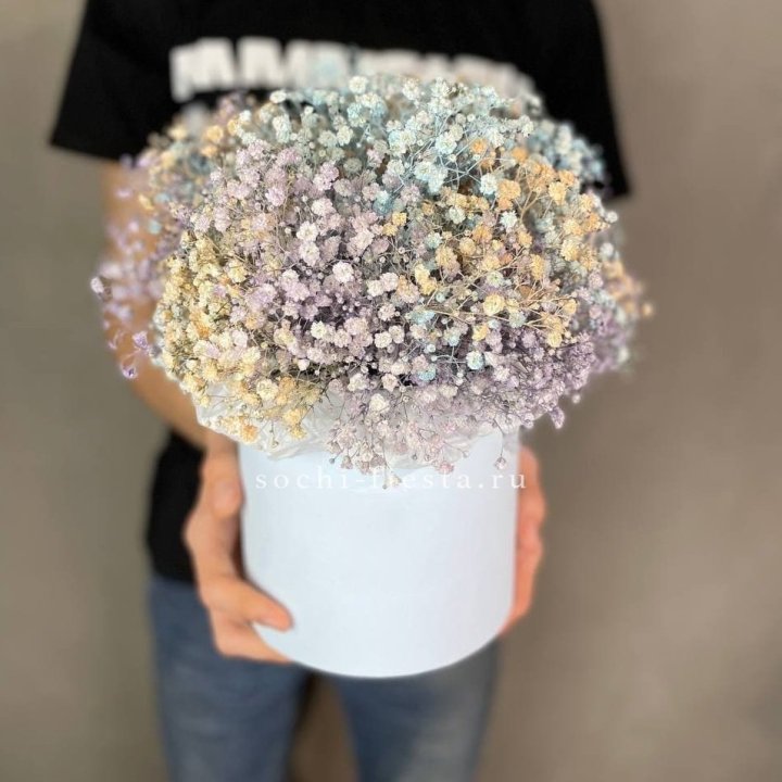 9 Радужных гипсофил в шляпной коробке в Твери