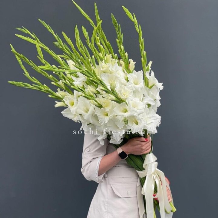 19 белых гладиолусов под ленту в Твери