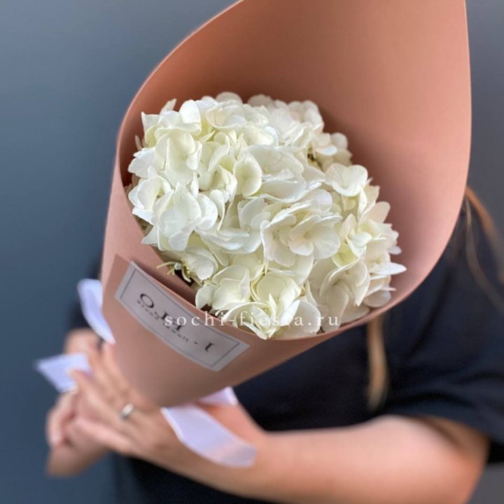 Гортензия в конверте в Твери