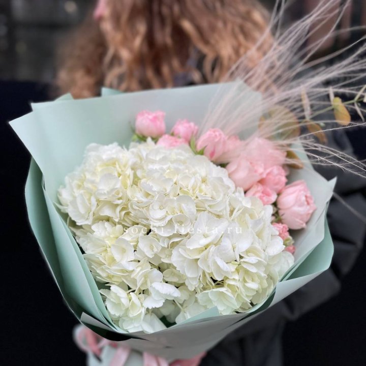 Гортензия "Жасмин" в Твери