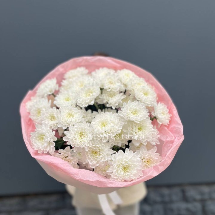  5 хризантем  в Твери