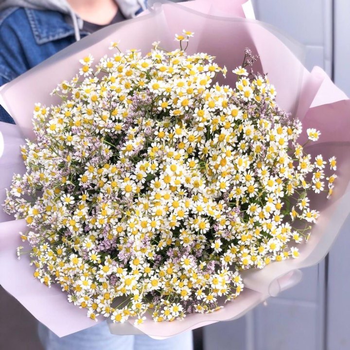 Букет ромашек №1 в Твери