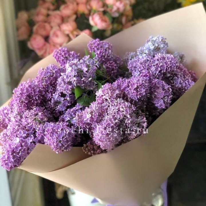 Букет сирени №2 в Твери
