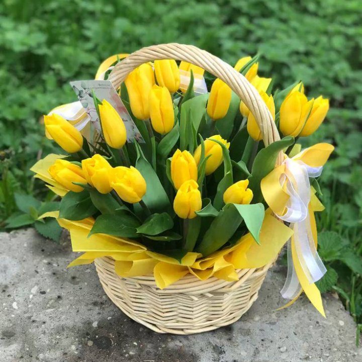 25 желтых тюльпанов в корзине в Твери