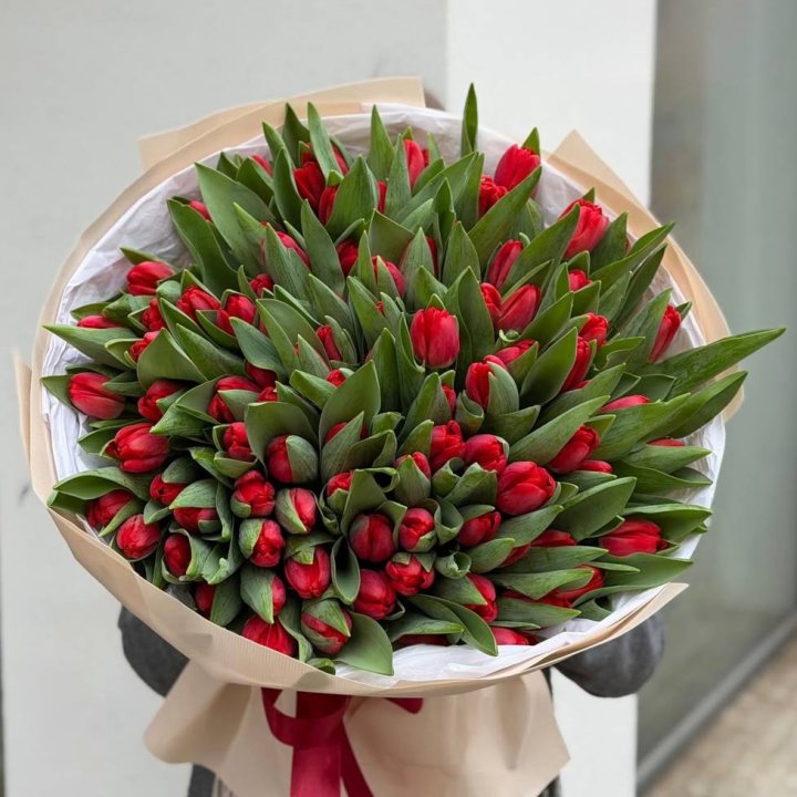 101 красный тюльпан в Твери