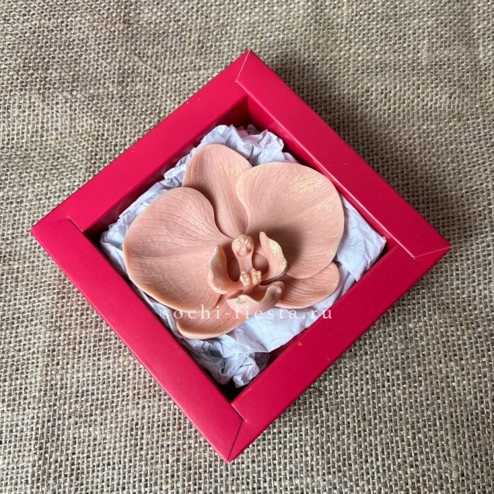 Бельгийский шоколад Орхидея в Твери