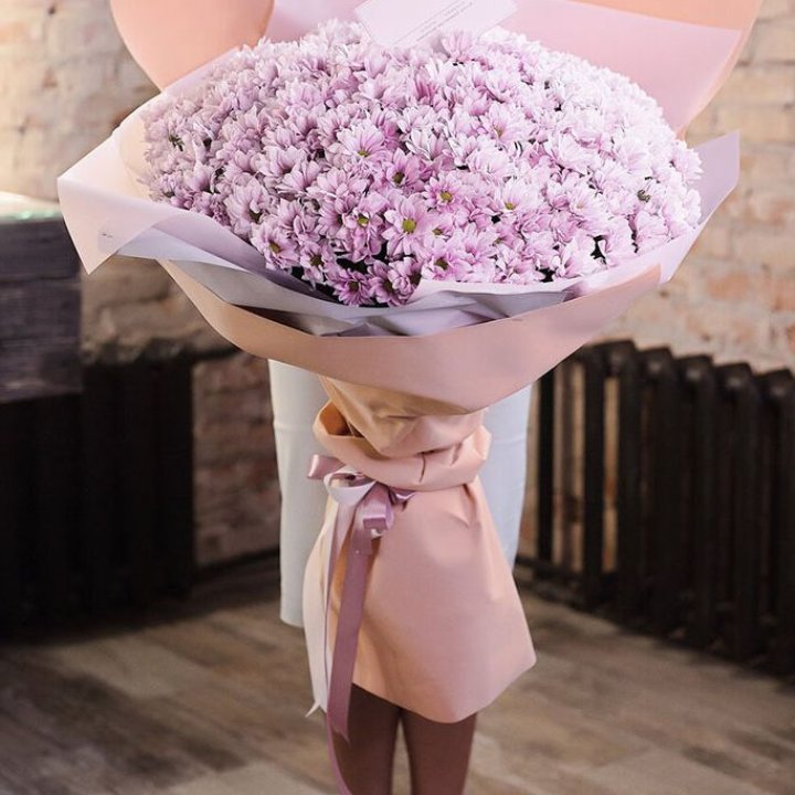 Облако хризантем №1 в Твери