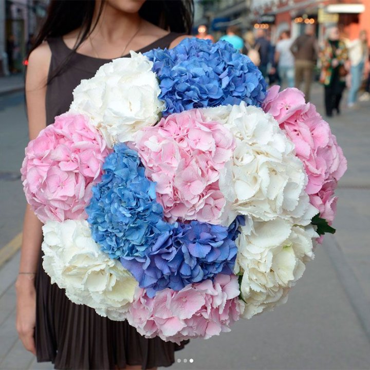 Букет гортензий "Инь-Янь" в Твери