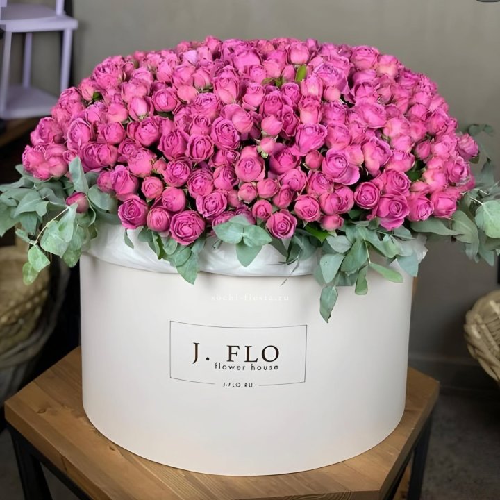 Цилиндр с Мисти Бабблс  в Твери