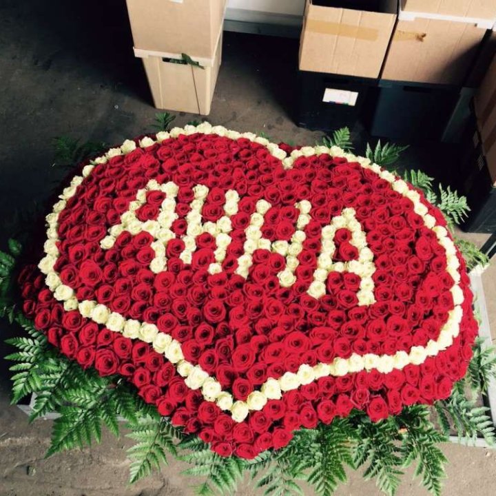 555 роз с именем в Твери