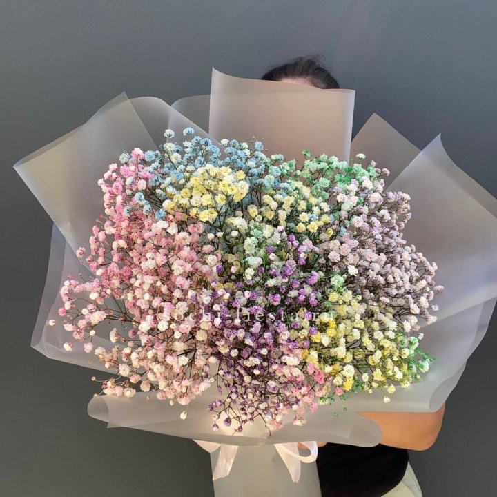 Радужные гипсофилы  в Твери