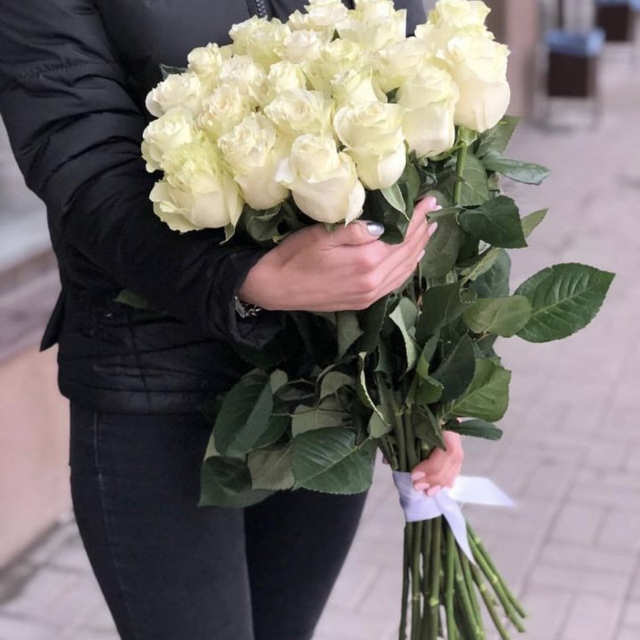 Голландские розы белые в Твери