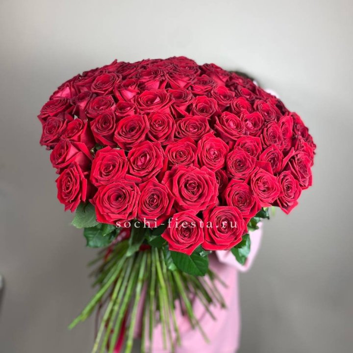 101  голландская роза  в Твери