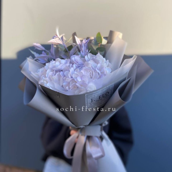 Гортензия "Виолета" в Твери