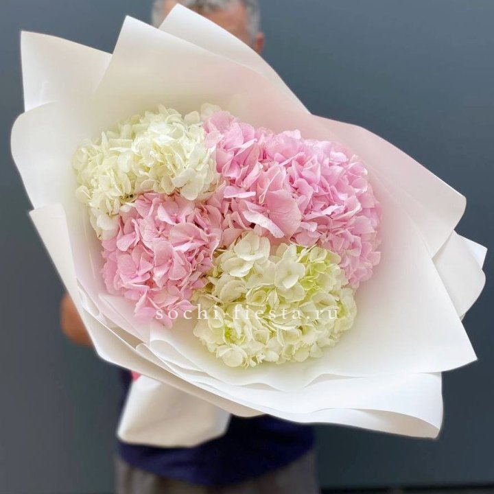 Букет гортензий №5 в Твери