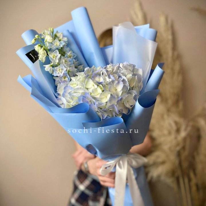 Гортензия "Блю скай" в Твери