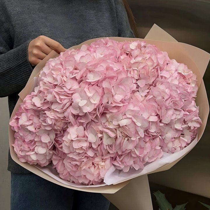 Гортензия  "РОЗЕ" в Твери