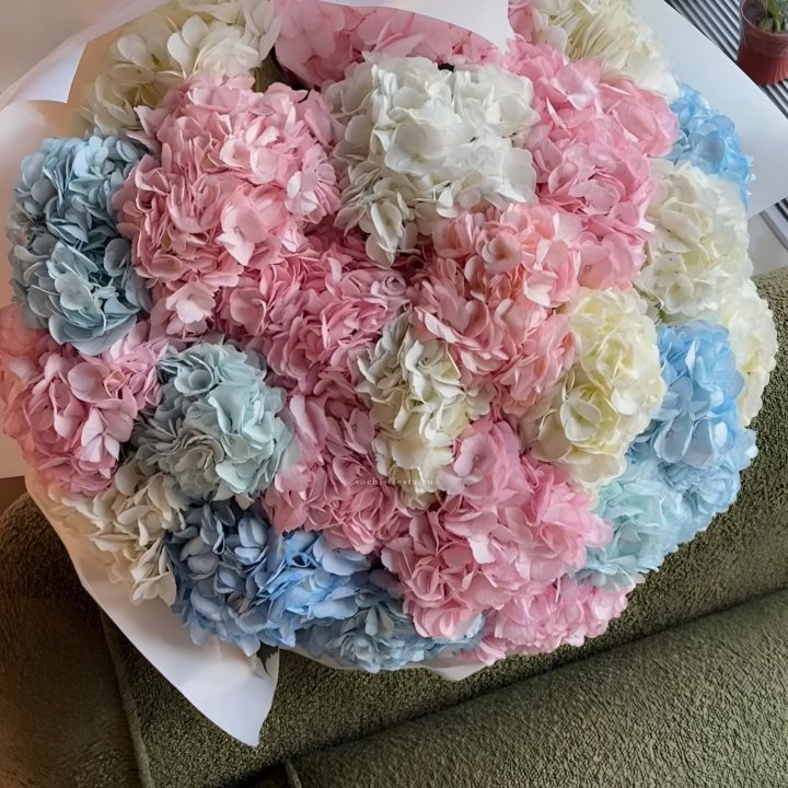 Букет гортензий микс в Твери