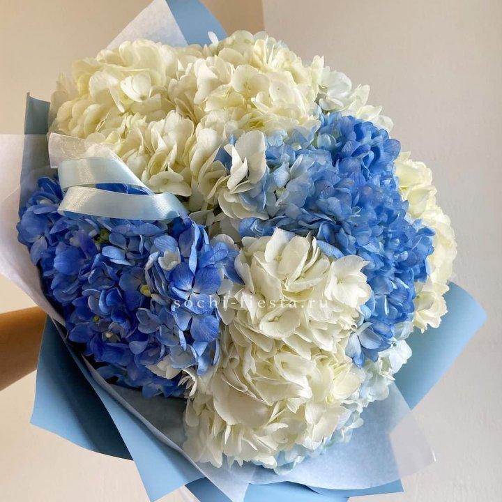 Букет гортензий "Голубая лаза" в Твери