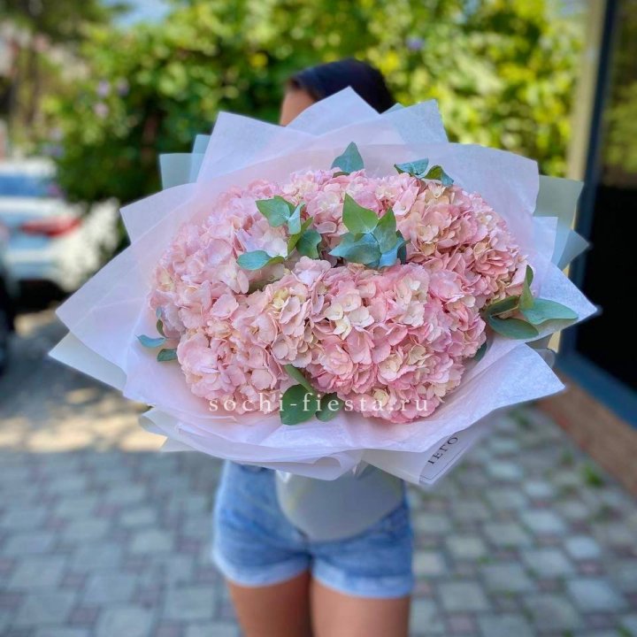 5 розовых гортензий  в Твери