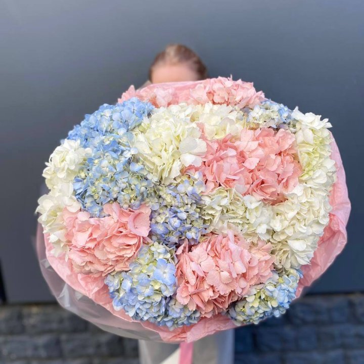 19 гортензий микс в Твери