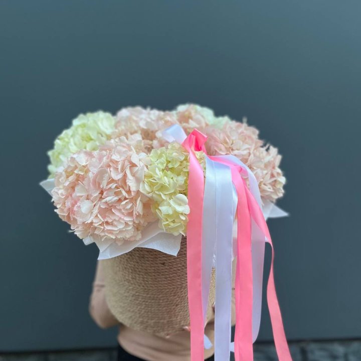 7 гортензий в кашпо в Твери