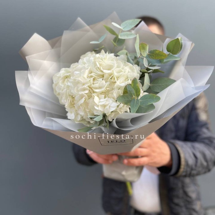  Букет  из белой гортензии в Твери