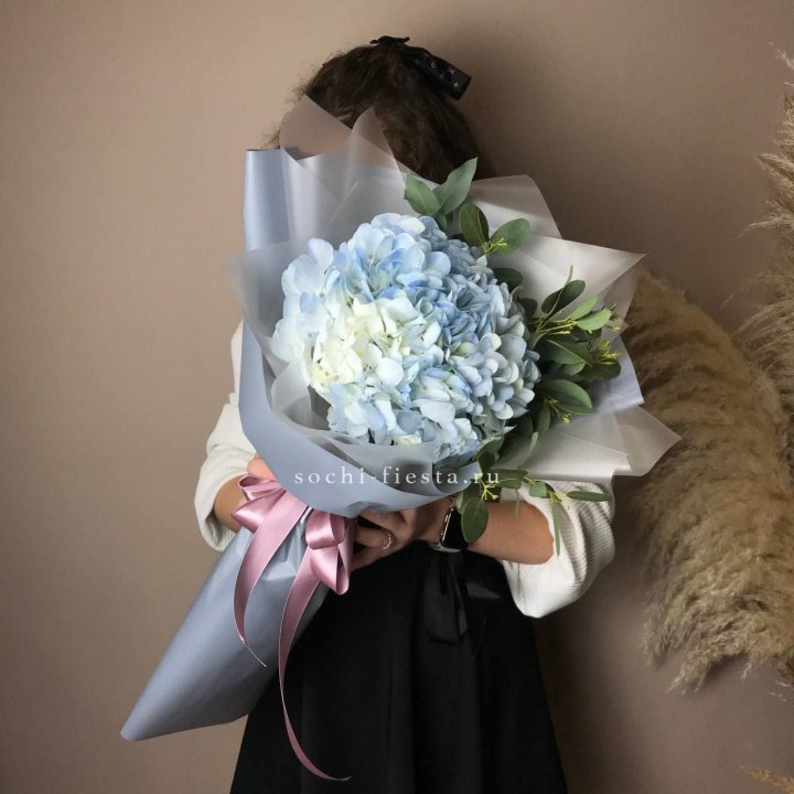 Гортензия Уно в Твери