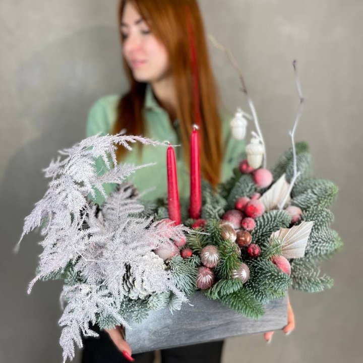 Бокс красный с нобилисом в Твери