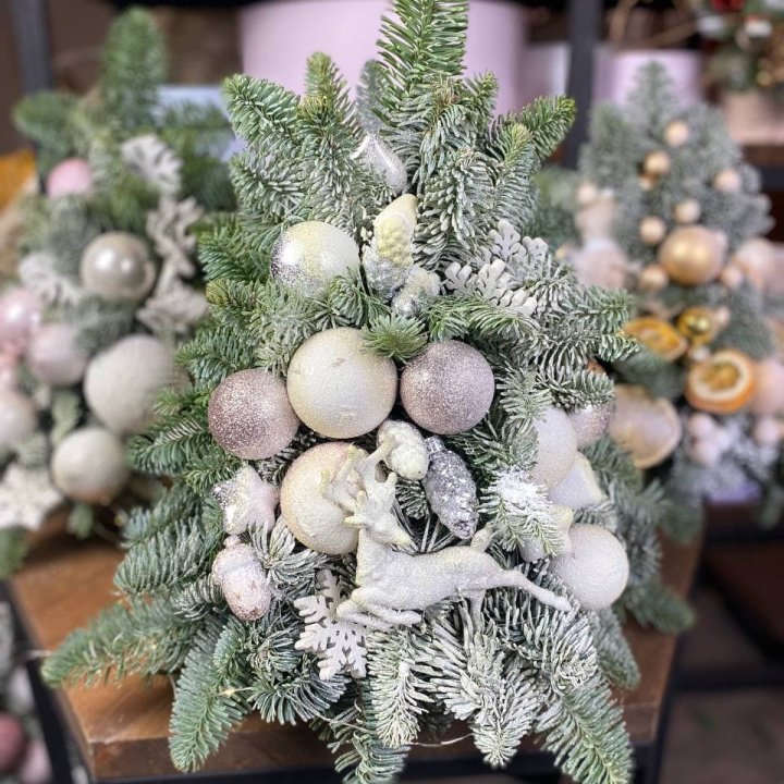 Ёлочка "Хепи крисмас" в Твери