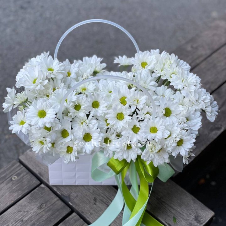 Сумка с хризантемами ромашками в Твери