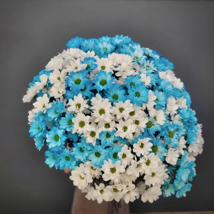  Букет хризантем микс в Твери