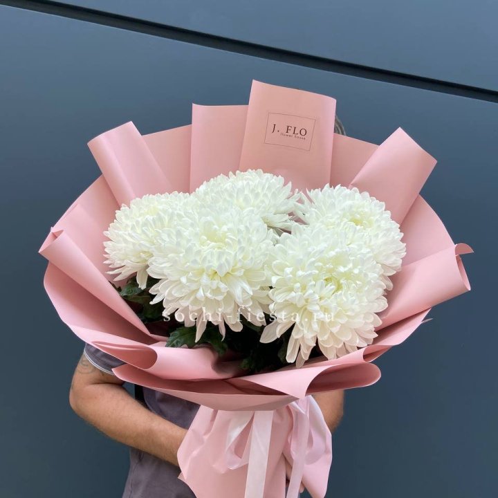 Профитроли №2 в Твери