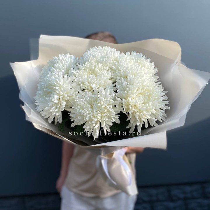 Профитроли в Твери