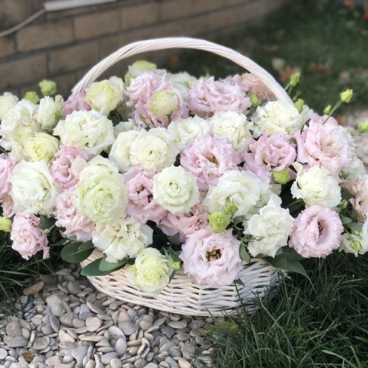 Корзина с эустомой в Твери