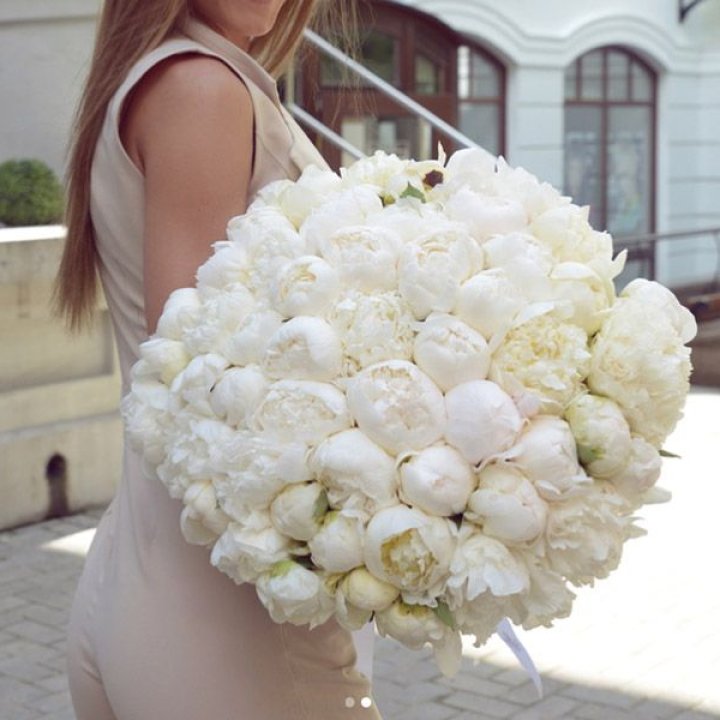 51 белый пион в Твери